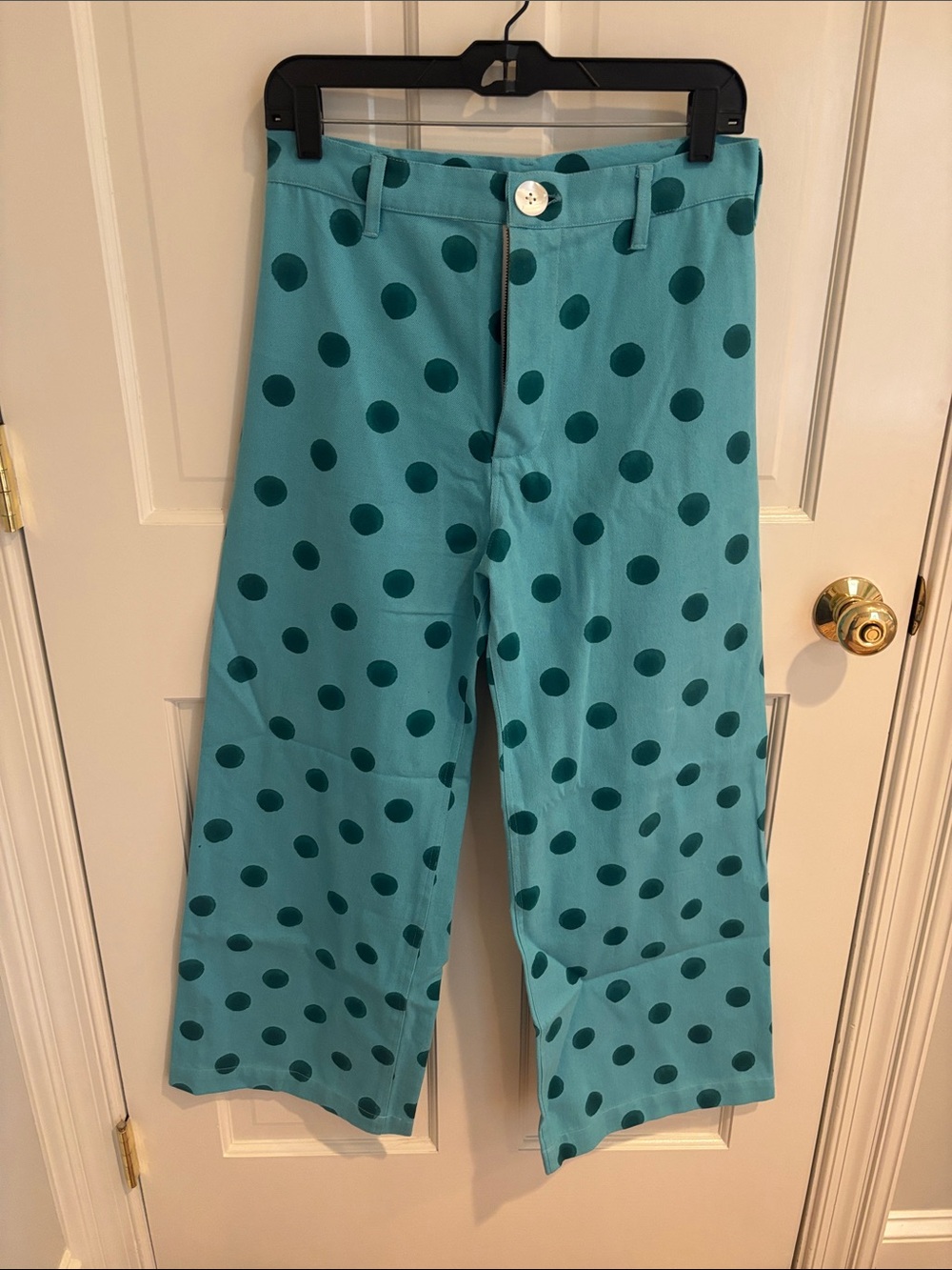Polka Dot Disco Pants in Teal